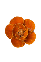 Burnt Orange Poppy - Chive Ceramics Studio - Ceramic Flowers - Chive Ceramics Studio