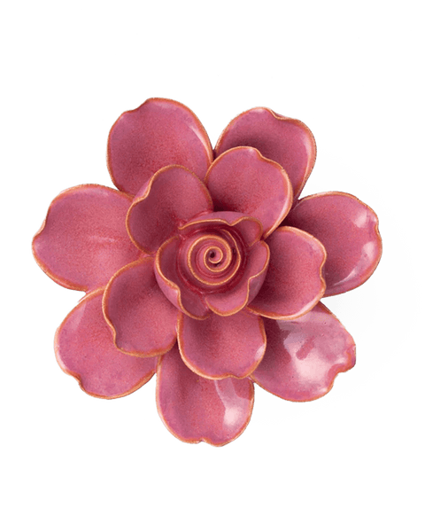 フラワー・ガーデニング uyiyiytiy Gardening] Plant now! A wide selection of lovely seasonal flowers