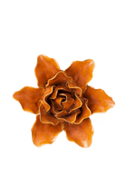 Burnt Orange Stargazer Lily - Chive Ceramics Studio - Ceramic Flowers - Chive Ceramics Studio