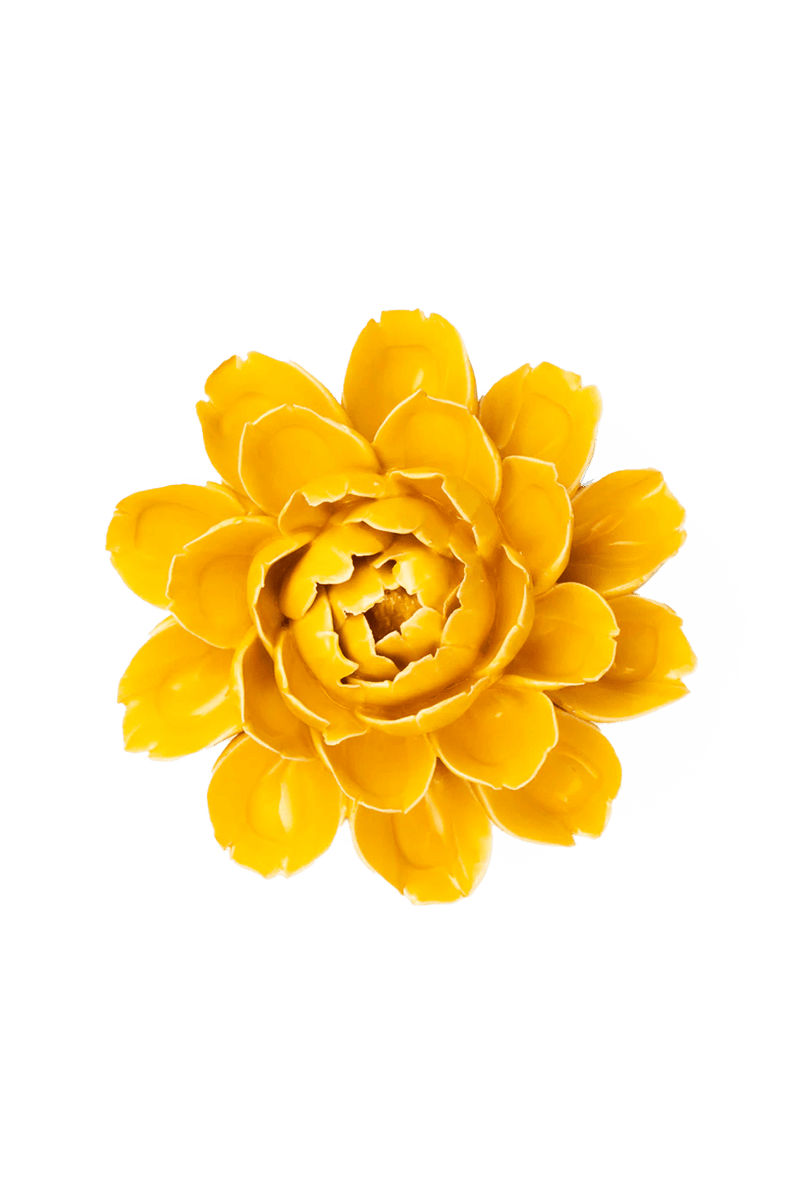 Yellow Empire Cabbage Flower Ceramic Wall Flower | Chive
