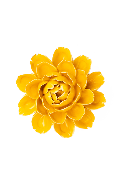 Yellow Empire Cabbage Flower Ceramic Wall Flower | Chive