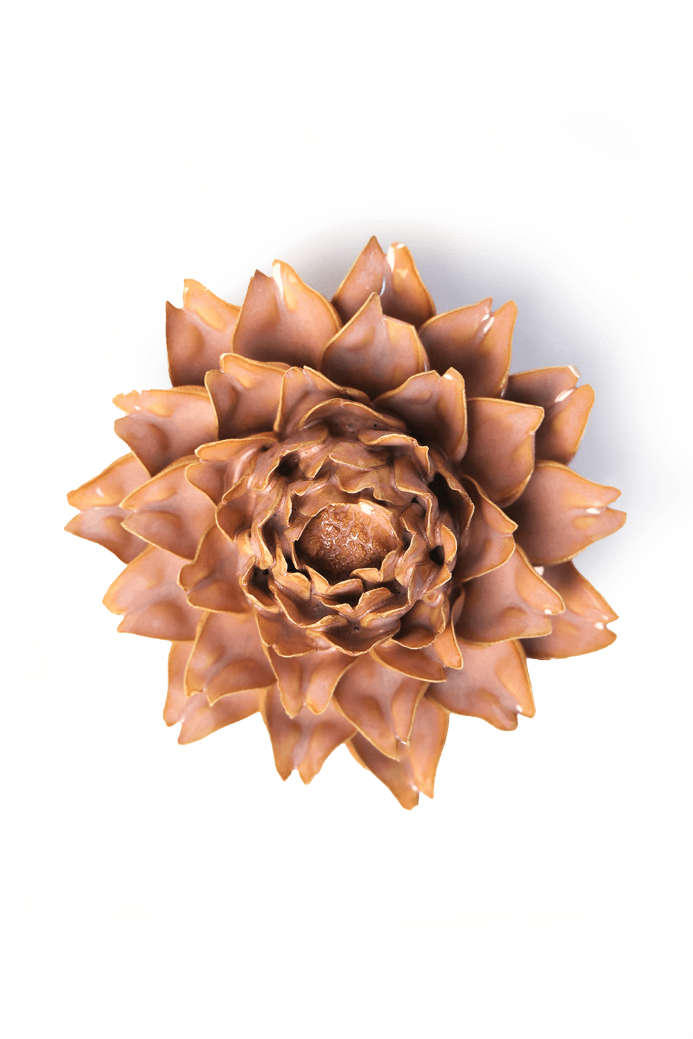 Rose Pink Protea ceramic wall flower  — France collection — designed in Toronto by Chive Studio