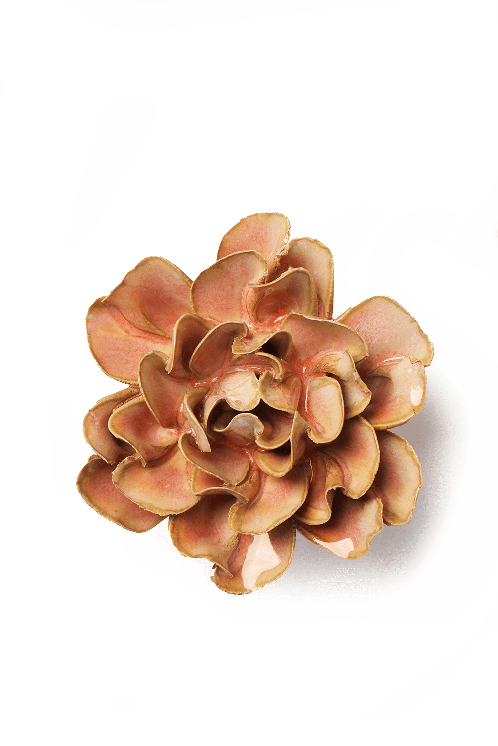 Rose Pink Hawthorn ceramic wall flower — France collection — designed in Toronto by Chive Studio