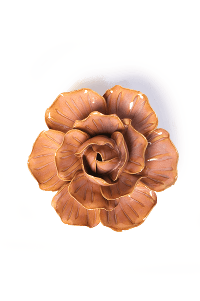 FR20-1_grande.png?v=1764194167