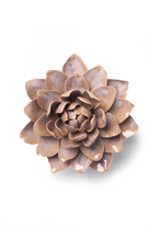 July Birth Flower - Waterlily - Chive Ceramics Studio - Ceramic Flowers - Chive Ceramics Studio