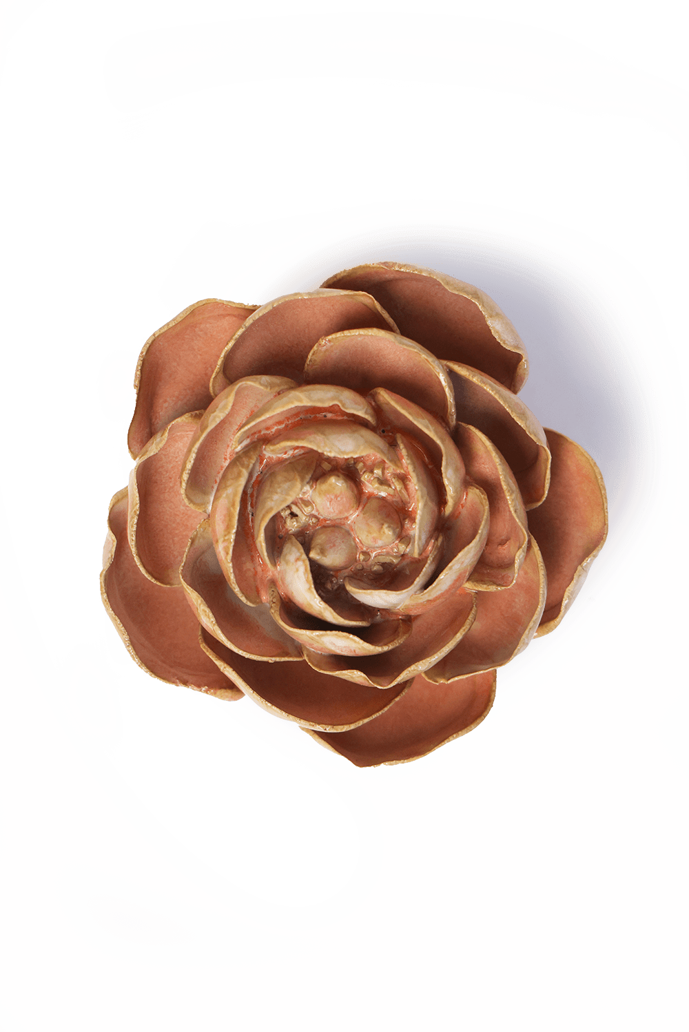 Peach Pink Peony ceramic wall flower  — France collection — designed in Toronto by Chive Studio