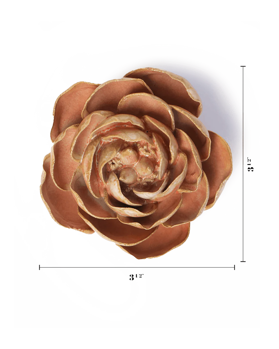 Peach Pink Peony ceramic wall flower  — France collection — designed in Toronto by Chive Studio