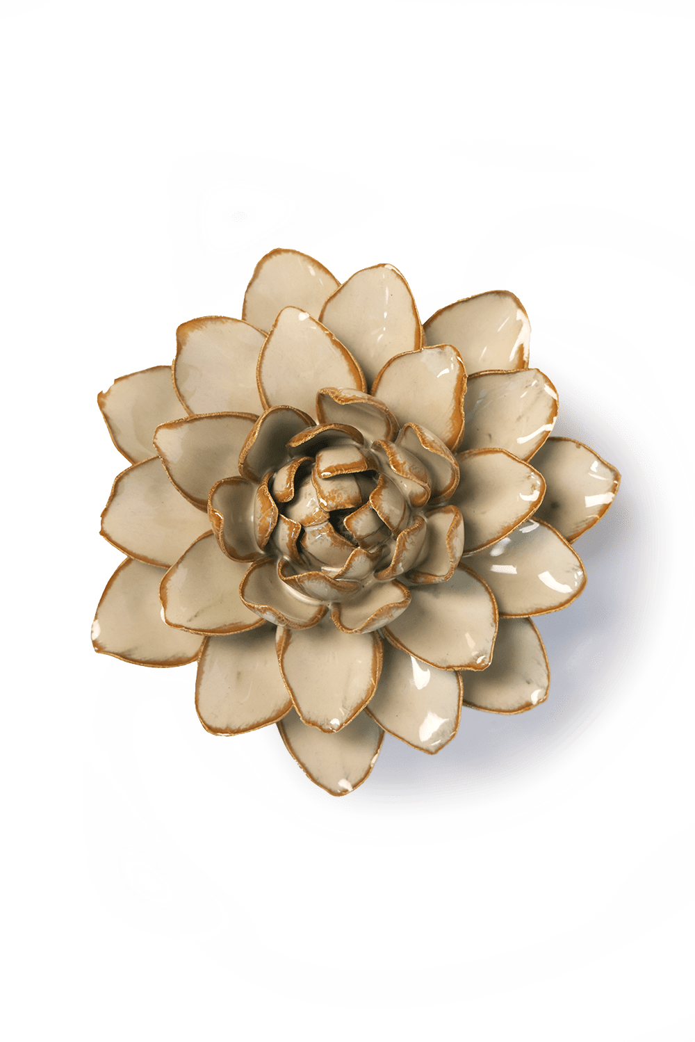 Oatmeal Water Lily ceramic wall flower  — France collection — designed in Toronto by Chive Studio