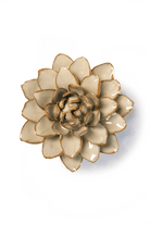 Oatmeal Starbrite Water Lily - Chive Ceramics Studio - Ceramic Flowers - Chive Ceramics Studio