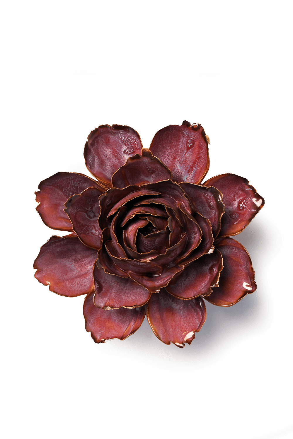 Dewberry Camellia ceramic wall flower  — France collection — designed in Toronto by Chive Studio