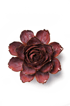 Dewberry Camellia - Chive Ceramics Studio - Ceramic Flowers - Chive Ceramics Studio