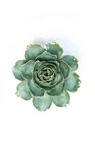 Milk Teal Camellia - Chive Ceramics Studio - Ceramic Flowers - Chive Ceramics Studio