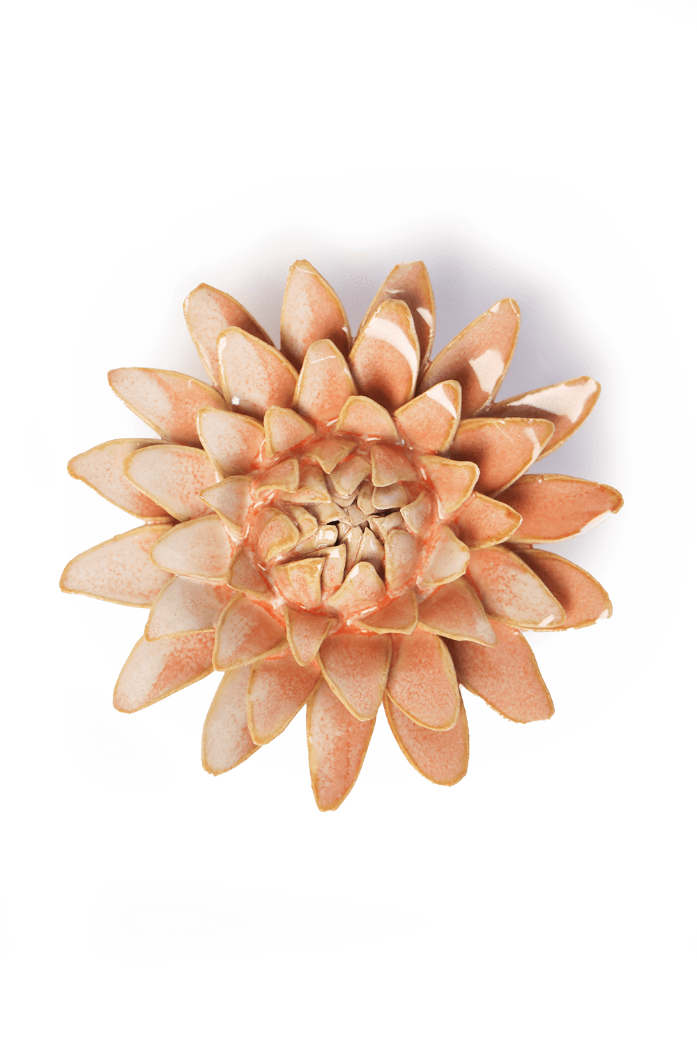 Peach Pink Strawflower ceramic wall flower — France collection — designed in Toronto by Chive Studio