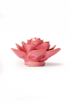 Blush Pink Begonia ceramic wall flower — France collection — designed in Toronto by Chive Studio