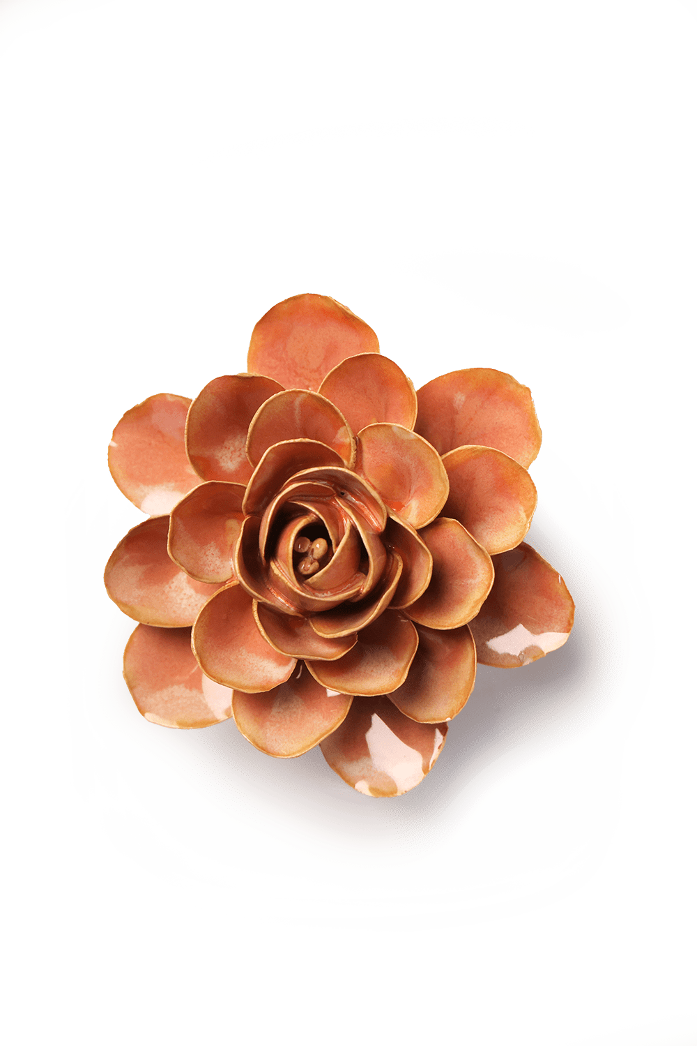 Peach Pink Begonia ceramic wall flower — France collection — designed in Toronto by Chive Studio