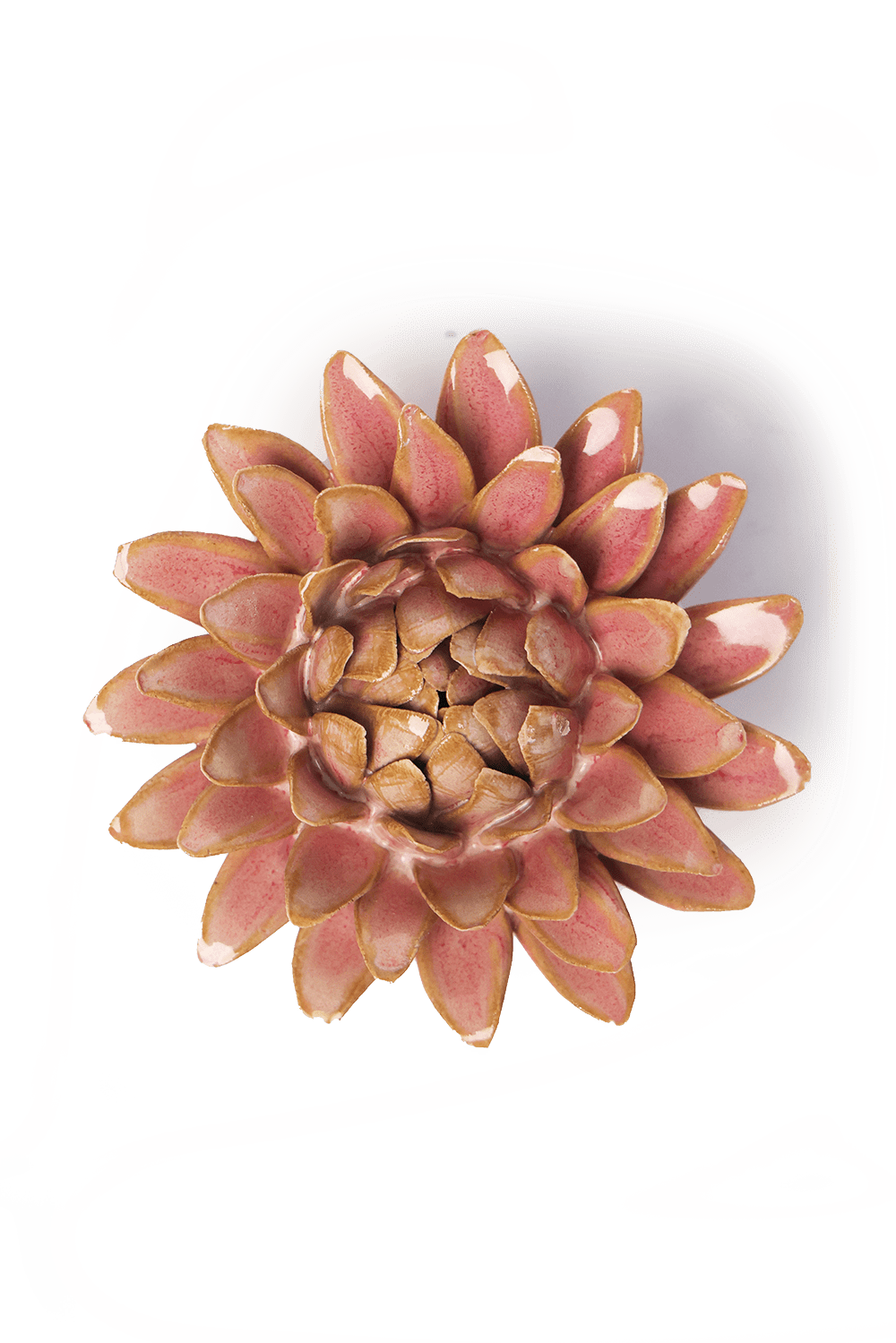 Rose Quartz Strawflower ceramic wall flower — France collection — designed in Toronto by Chive Studio