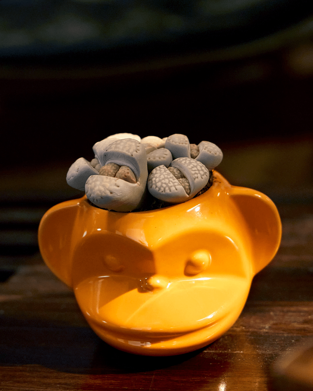 Funky Monkey Planter - Chive Ceramics Studio - Pots - Chive Ceramics Studio