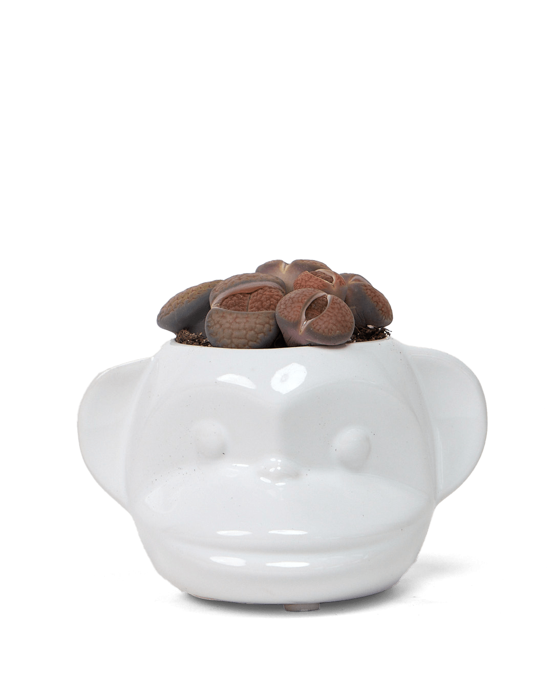 quirky planter pots Funky Monkey Planter