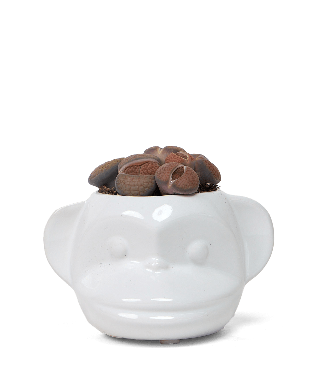 Funky Monkey Planter - Chive Ceramics Studio - Pots - Chive Ceramics Studio