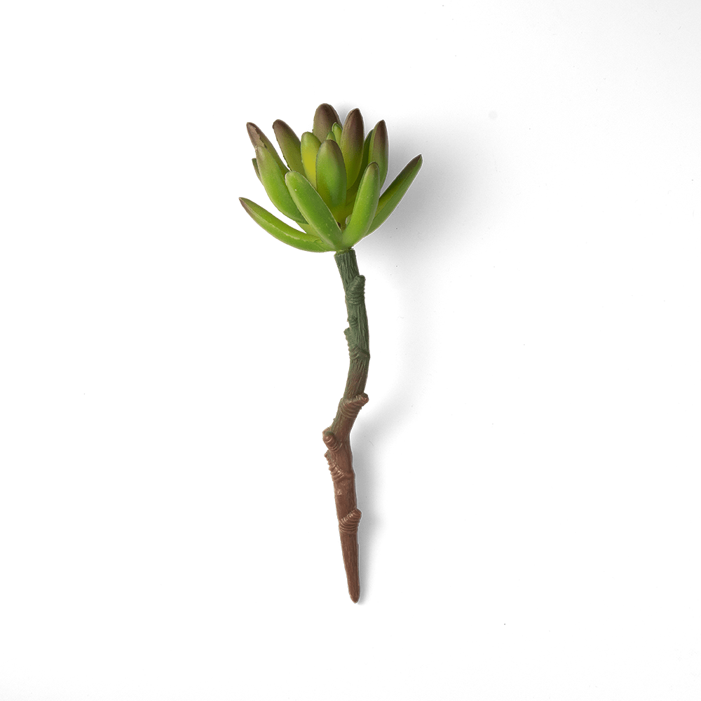 Premium Artificial Succulents - Lifelike Botanical Decor - Chive Ceramics Studio - Chive US Wholesale
