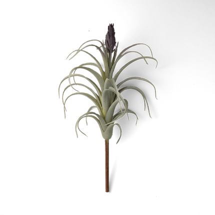 Air Plant Fake Lifelike Realistic Unkillable! - Chive Ceramics Studio - Tools & Accessories - Chive Wholesale