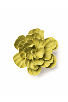 February Birth Flower - Primrose ceramic wall flower — Birth Flower Collection — handmade by Chive Studio Toronto