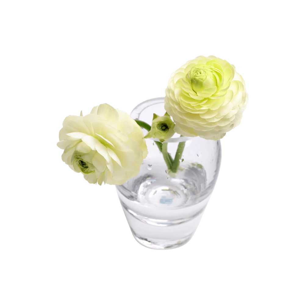 George Glass Clear Bud Vase For Flowers - Chive Ceramics Studio - Vases - Chive US