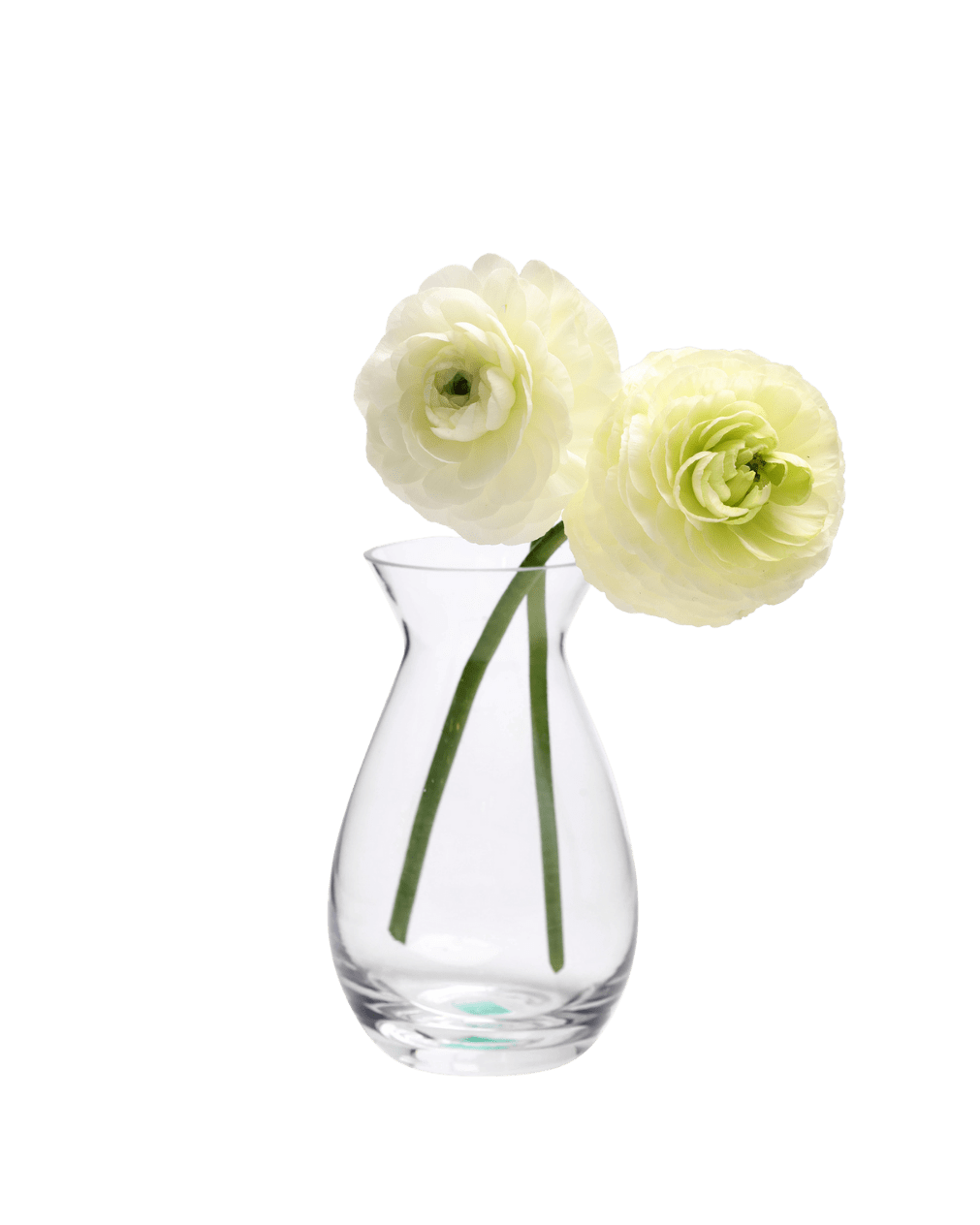 George Glass Clear Bud Vase For Flowers - Chive Ceramics Studio - Vases - Chive US