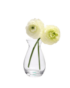 George Glass Clear Bud Vase For Flowers - Chive Ceramics Studio - Vases - Chive US