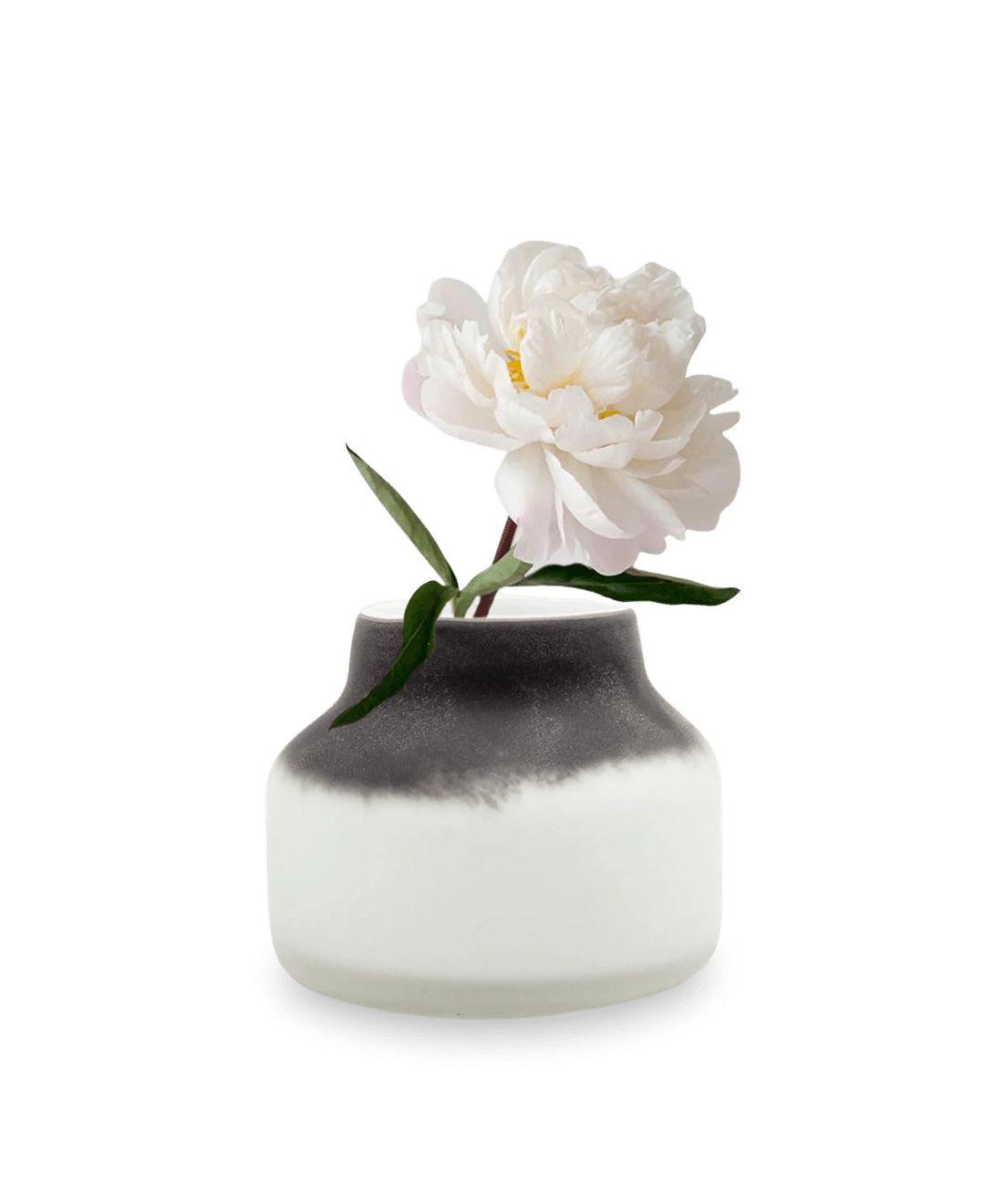 Groak Glass Modern Flower Vase - Chive Ceramics Studio - Vases - Chive US