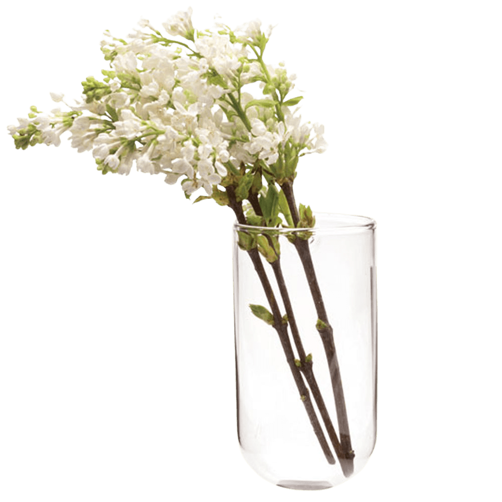 Wall Cup Glass Modern Clear Flower Vase - Chive Ceramics Studio - Vases - Chive Ceramics Studio