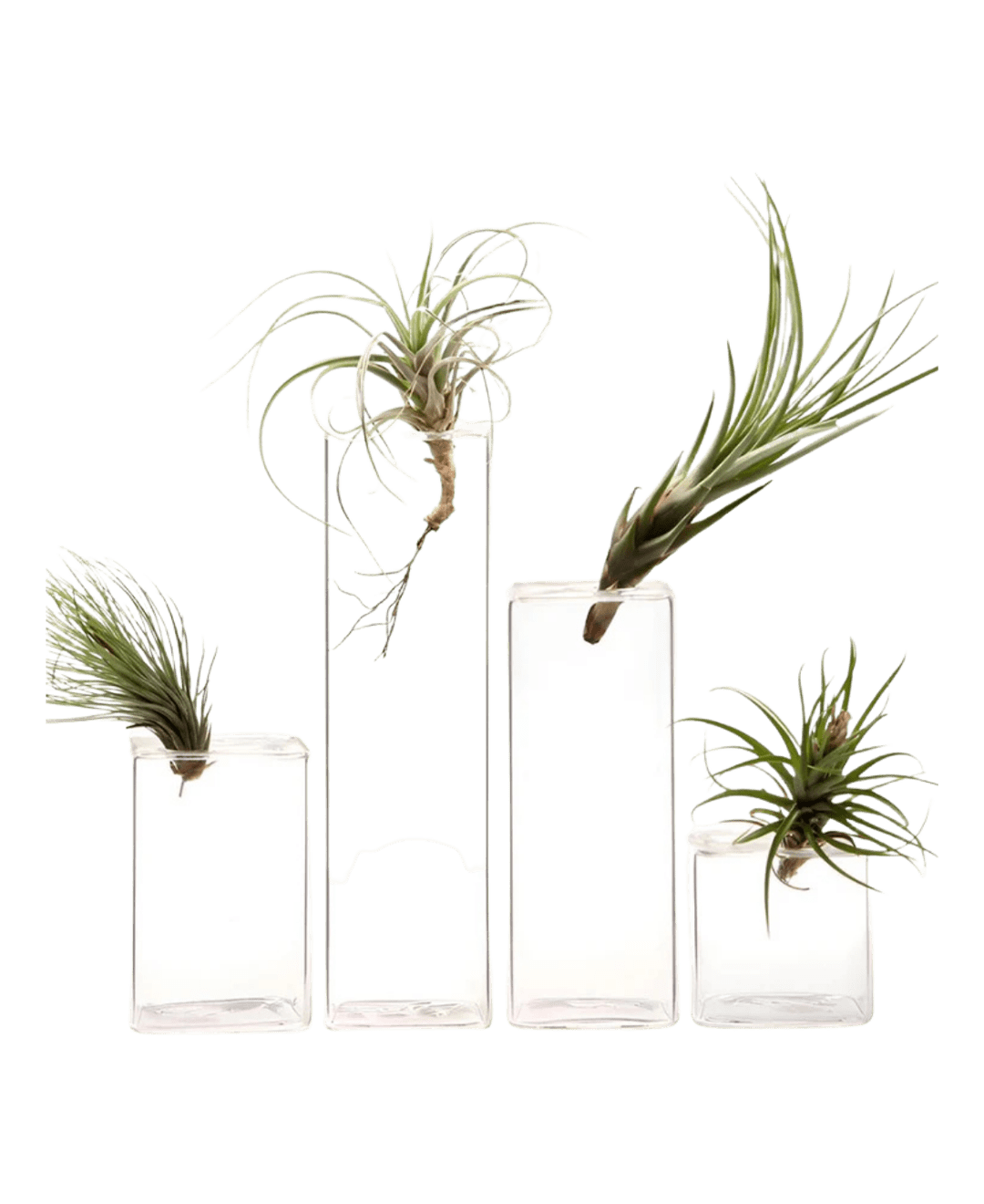 Cube Glass Modern Clear Flower Vase - Chive Ceramics Studio - Vases - Chive Ceramics Studio