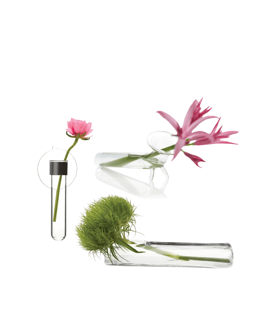 Test Tube Glass Modern Clear Flower Vase - Chive Ceramics Studio - Vases - Chive US