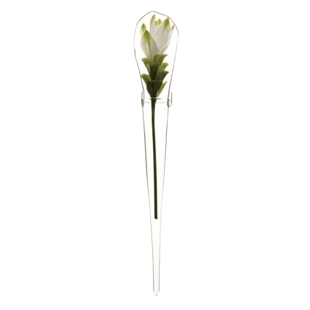 Window Cone Glass Modern Clear Flower Vase - Chive Ceramics Studio - Vases - Chive US