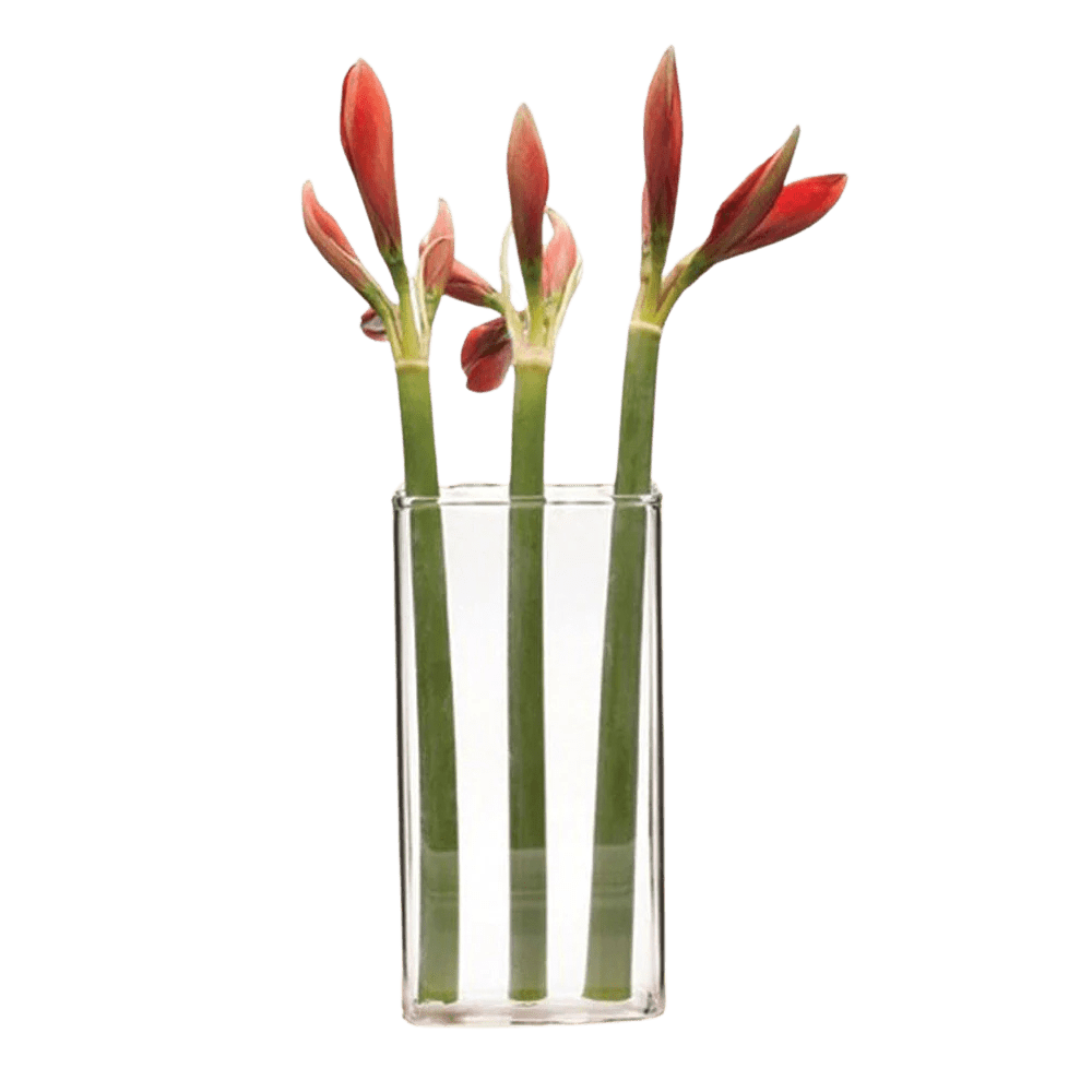 Wall Brick Glass Modern Clear Flower Vase - Chive Ceramics Studio - Vases - Chive Ceramics Studio