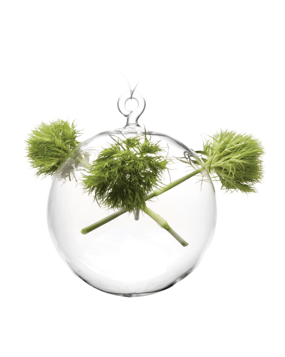 Hanging Sphere Glass Modern Clear Flower Vase - Chive Ceramics Studio - Vases - Chive US