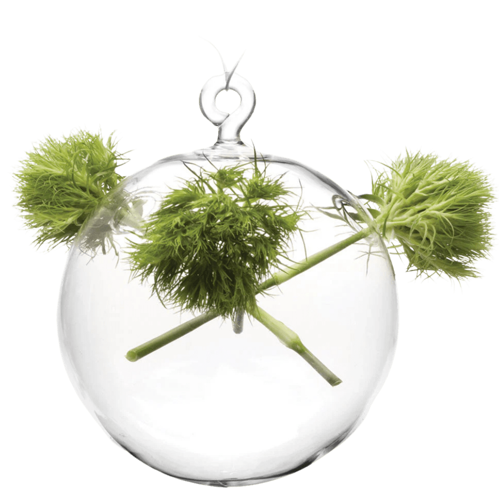 Hanging Sphere Glass Modern Clear Flower Vase - Chive Ceramics Studio - Vases - Chive US