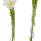 Hanging Thorn Glass Modern Clear Flower Vase - Chive Ceramics Studio - Vases - Chive US