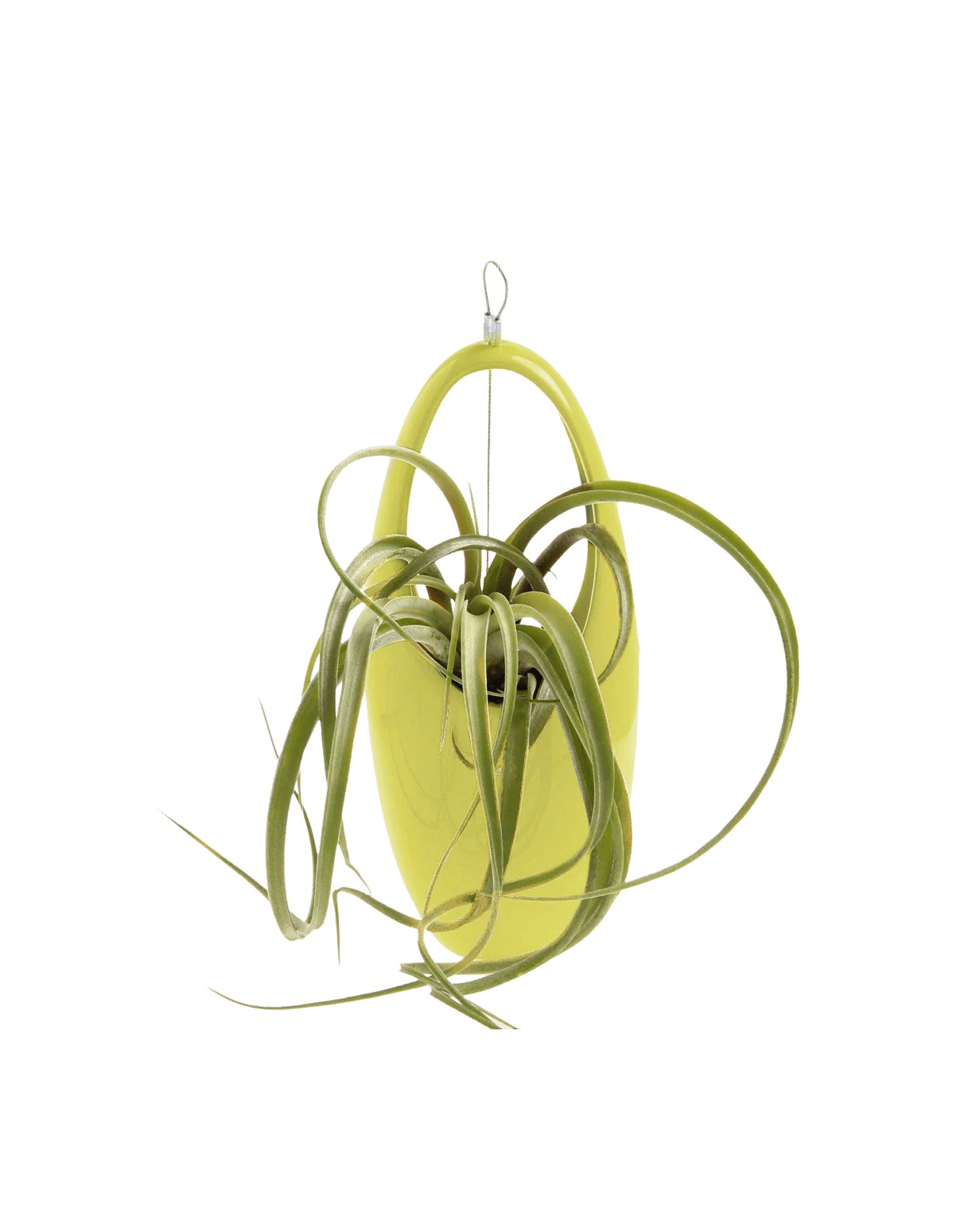 Hanging Aerium Ceramic For Succulents & Ikebana - Chive Ceramics Studio - Pots - Chive US