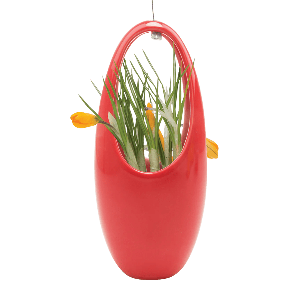 Hanging Aerium Ceramic For Succulents & Ikebana - Chive Ceramics Studio - Pots - Chive US