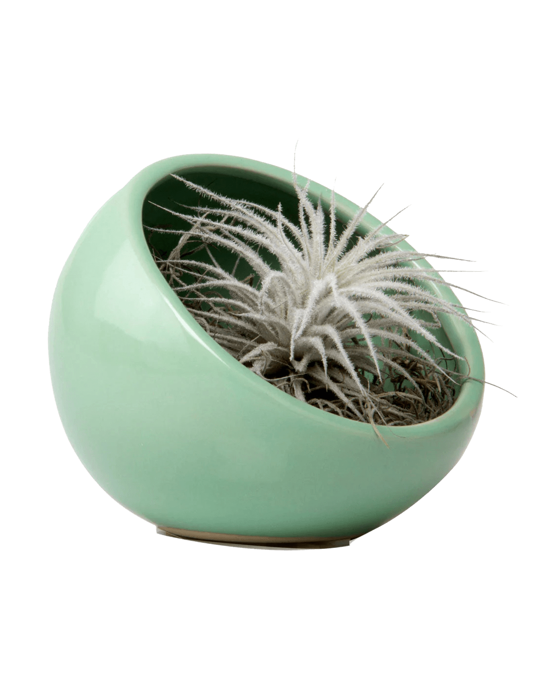 plant terrarium bowl Half Moon Ceramic Terrarium Bowl