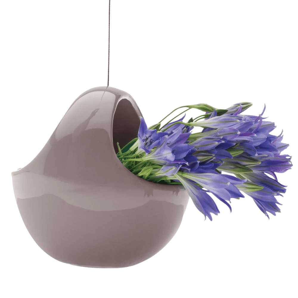 Hanging Aerium Ceramic For Succulents & Ikebana - Chive Ceramics Studio - Pots - Chive US