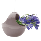 Hanging Aerium Ceramic For Succulents & Ikebana - Chive Ceramics Studio - Pots - Chive US