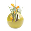 Hanging Aerium Ceramic For Succulents & Ikebana