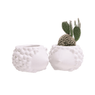 Hedgehog Ceramic Indoor Plant Pot For Succulents - Chive Ceramics Studio - Pots - Chive US