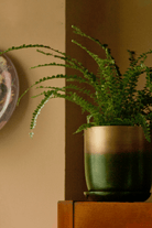 Joe Metal Pot With Drainage Hole | 7, 8, 10 & 12 inches - Chive Ceramics Studio - Pots - Chive Ceramics Studio