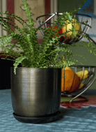 Joe Metal Pot With Drainage Hole | 7, 8, 10 & 12 inches - Chive Ceramics Studio - Pots - Chive Ceramics Studio