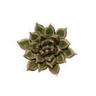 Japan Ceramic Flower Wall Art Green Succulent - Chive Ceramics Studio - Ceramic Flowers - Chive US