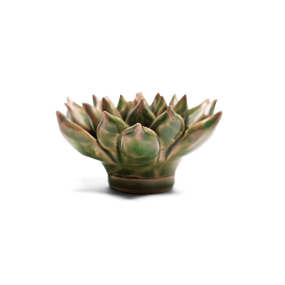 Japan Ceramic Flower Wall Art Green Succulent - Chive Ceramics Studio - Ceramic Flowers - Chive US