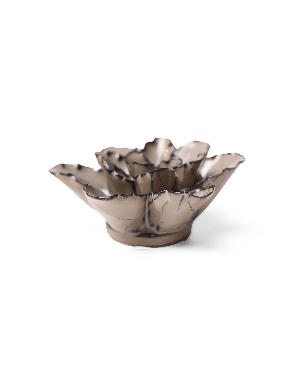 Lotus Symbolism | Latte Empress Lotus | Chive